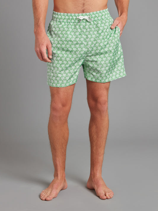 Swimming Shorts - Green Turtles